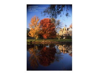 Colour of Autumn
Photo by Muchiu (Henry) Chang
Perth, Ontario
October 10, 2011
 