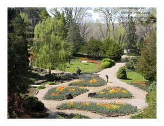 Autumn Rhapsody
Photo by Muchiu (Henry) Chang
Lac Pink, Gatineau Park, Quebec
October 9, 2011
 