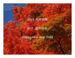 2013 新年快樂

  2013 新年快乐

Happy New Year 2013
 