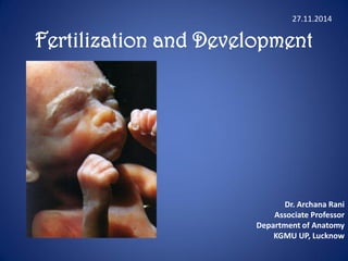 Fertilization and Development
Dr. Archana Rani
Associate Professor
Department of Anatomy
KGMU UP, Lucknow
27.11.2014
 
