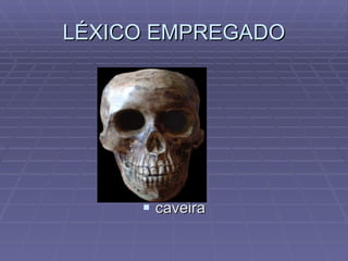LÉXICO EMPREGADO caveira 