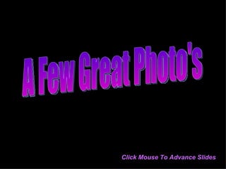 A Few Great Photo's Click Mouse To Advance Slides 
