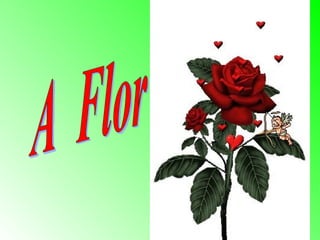 A  Flor 