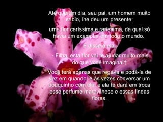 Até que um dia, seu pai, um homem muito sábio, lhe deu um presente: uma flor caríssima e raríssima, da qual só havia um exemplar em todo o mundo.  E disse à ela: - Filha, esta flor vai te ajudar muito mais do que você imagina!  Você terá apenas que regá-la e podá-la de vez em quando, e às vezes conversar um pouquinho com ela, e ela te dará em troca esse perfume maravilhoso e essas lindas flores. 