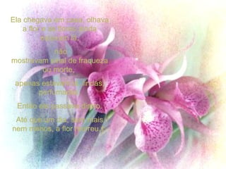 Ela chegava em casa, olhava a flor e as flores ainda estavam lá, não mostravam sinal de fraqueza ou morte,  apenas estavam lá, lindas, perfumadas. Então ela passava direto.  Até que um dia, sem mais nem menos, a flor morreu.   