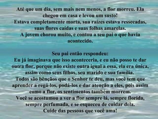 Até que um dia, sem mais nem menos, a flor morreu. Ela chegou em casa e levou um susto! Estava completamente morta, sua raízes estava ressecadas, suas flores caídas e suas folhas amarelas. A jovem chorou muito, e contou a seu pai o que havia acontecido. Seu pai então respondeu: Eu já imaginava que isso aconteceria, e eu não posso te dar outra flor, porque não existe outra igual a essa, ela era única, assim como seus filhos, seu marido e sua família.  Todos são bênçãos que o Senhor te deu, mas você tem que aprender a regá-los, podá-los e dar atenção a eles, pois assim como a flor, os sentimentos também morrem. Você se acostumou a ver a flor sempre lá, sempre florida, sempre perfumada, e se esqueceu de cuidar dela. Cuide das pessoas que você ama! 
