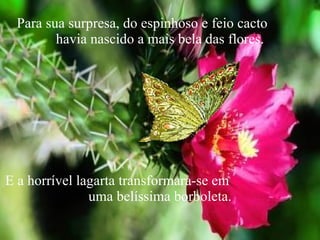 Para sua surpresa, do espinhoso e feio cacto havia nascido a mais bela das flores. E a horrível lagarta transformara-se em uma belíssima borboleta.