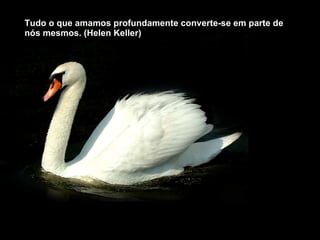 Tudo o que amamos profundamente converte-se em parte de nós mesmos. (Helen Keller) 