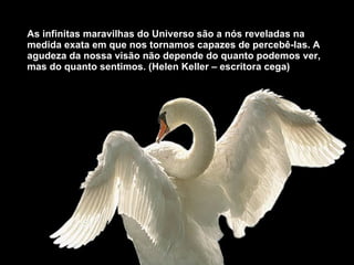 As infinitas maravilhas do Universo são a nós reveladas na medida exata em que nos tornamos capazes de percebê-las. A agudeza da nossa visão não depende do quanto podemos ver, mas do quanto sentimos. (Helen Keller – escritora cega) 