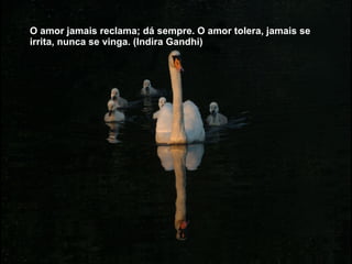 O amor jamais reclama; dá sempre. O amor tolera, jamais se irrita, nunca se vinga. (Indira Gandhi) 