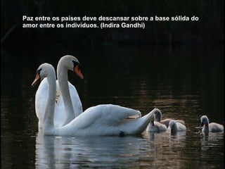 Paz entre os países deve descansar sobre a base sólida do amor entre os indivíduos. (Indira Gandhi) 