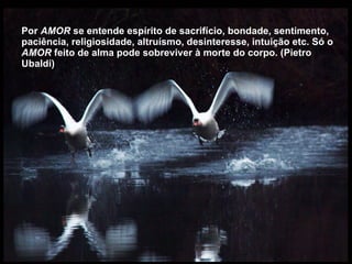 Por  AMOR  se entende espírito de sacrifício, bondade, sentimento, paciência, religiosidade, altruísmo, desinteresse, intuição etc. Só o  AMOR  feito de alma pode sobreviver à morte do corpo. (Pietro Ubaldi) 