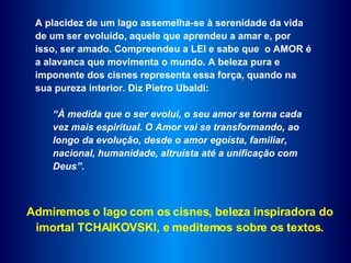 A placidez de um lago assemelha-se à serenidade da vida de um ser evoluído, aquele que aprendeu a amar e, por isso, ser amado. Compreendeu a LEI e sabe que  o AMOR é a alavanca que movimenta o mundo. A beleza pura e imponente dos cisnes representa essa força, quando na sua pureza interior. Diz Pietro Ubaldi:  “ À medida que o ser evolui, o seu amor se torna cada vez mais espiritual. O Amor vai se transformando, ao longo da evolução, desde o amor egoísta, familiar, nacional, humanidade, altruísta até a unificação com Deus”. Admiremos o lago com os cisnes, beleza inspiradora do imortal TCHAIKOVSKI, e meditemos sobre os textos. 