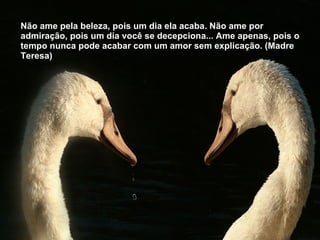 Não ame pela beleza, pois um dia ela acaba. Não ame por admiração, pois um dia você se decepciona... Ame apenas, pois o tempo nunca pode acabar com um amor sem explicação. (Madre Teresa) 