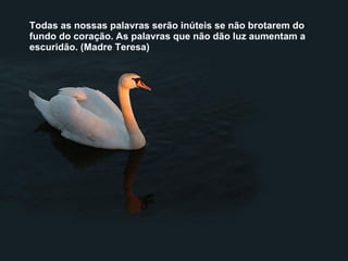 Todas as nossas palavras serão inúteis se não brotarem do fundo do coração. As palavras que não dão luz aumentam a escuridão. (Madre Teresa) 