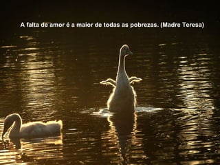 A falta de amor é a maior de todas as pobrezas. (Madre Teresa) 