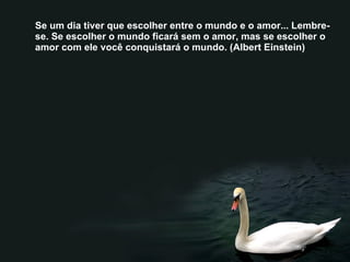 Se um dia tiver que escolher entre o mundo e o amor... Lembre-se. Se escolher o mundo ficará sem o amor, mas se escolher o amor com ele você conquistará o mundo. (Albert Einstein) 