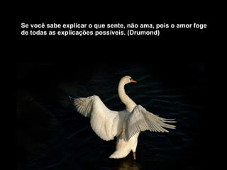 Se você sabe explicar o que sente, não ama, pois o amor foge de todas as explicações possíveis. (Drumond) 