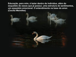 Educação, para mim, é botar dentro do indivíduo, além do esqueleto de ossos que já possui, uma estrutura de sentimentos, um esqueleto emocional. O entendimento na base do amor. (Cecília Meirelles) 