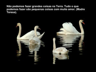 Não podemos fazer grandes coisas na Terra. Tudo o que podemos fazer são pequenas coisas com muito amor. (Madre Teresa). 