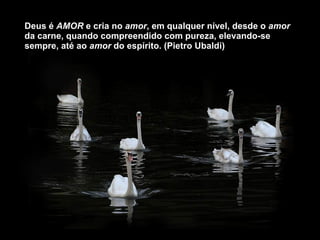 Deus é  AMOR  e cria no  amor , em qualquer nível, desde o  amor  da carne, quando compreendido com pureza, elevando-se sempre, até ao  amor  do espírito. (Pietro Ubaldi) 