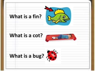 What is a fin?
What is a cot?
What is a bug?
 