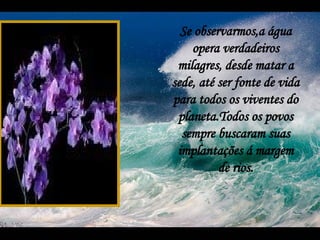 Se observarmos,a água opera verdadeiros milagres, desde matar a sede, até ser fonte de vida para todos os viventes do planeta.Todos os povos sempre buscaram suas implantações á margem de rios. 