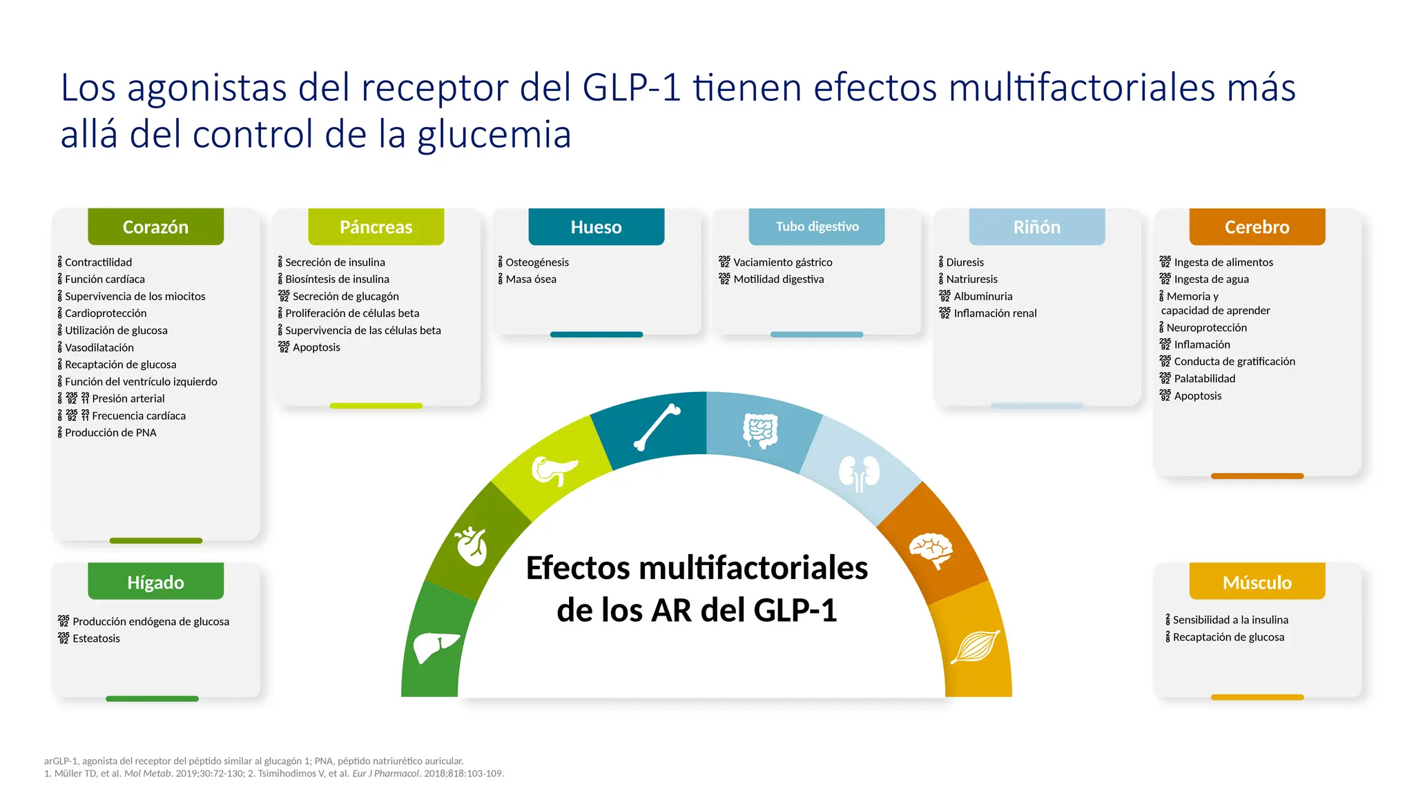 glp 1 funcion GLP-1 Formula GLP-1 | Summary