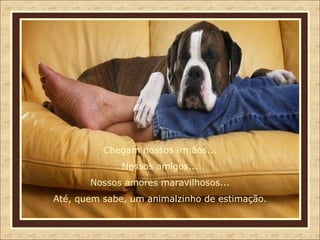Chegam nossos irmãos... Nossos amigos... Nossos amores maravilhosos... Até, quem sabe, um animalzinho de estimação. 