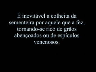 É inevitável a colheita da sementeira por aquele que a fez, tornando-se rico de grãos abençoados ou de espículos venenosos. 
