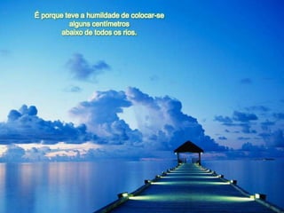 É porque teve a humildade de colocar-se
           alguns centímetros
        abaixo de todos os rios.
 