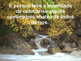 É porque teve a humildade de colocar-se alguns centímetros abaixo de todos os rios.   