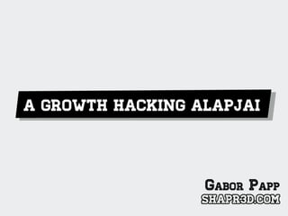A Growth Hacking alapjai