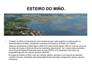 ESTEIRO DO MIÑO. O esteiro do Miño é unha extensa zona húmeda de gran valor ecolóxico e está situado na desembocadura do Miño, comprende municipios da Guarda e O Rosal, con 1668ha. Ademais de pertencer á Rede Natura 2000 (LIC) está incluída desde 1965 na “Lista de zonas de humidas de Europa e Norte de África de importacia internacional”. Así  mesmo esta recoñecido como Zona de Especial Protección para as Aves (ZEPA), e foi declarado como Zona de EspecialProtección dos Valores Naturais (ZEPVN). As augas do Esteiro do Miño, polo seu carácter salobre, permiten a convivencia de especies mariñas e fluviais, resultando unha diversidade floral e faunistica excepcional, garzas, parrulos, mazaricos…. 