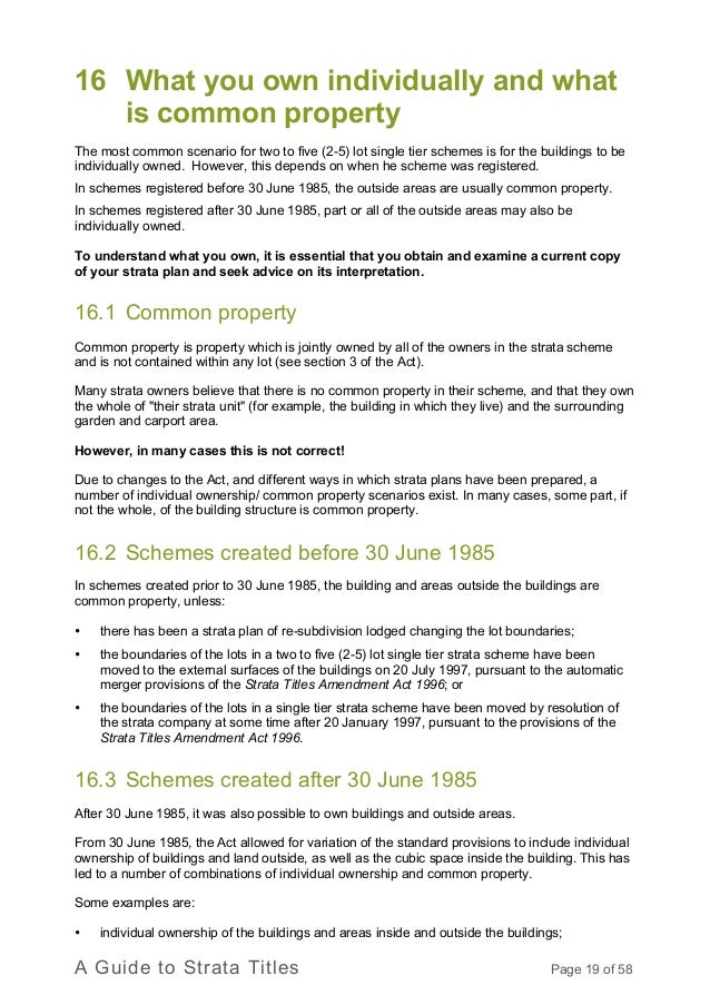 Political Argumentative Essay Political Argumentative Essay