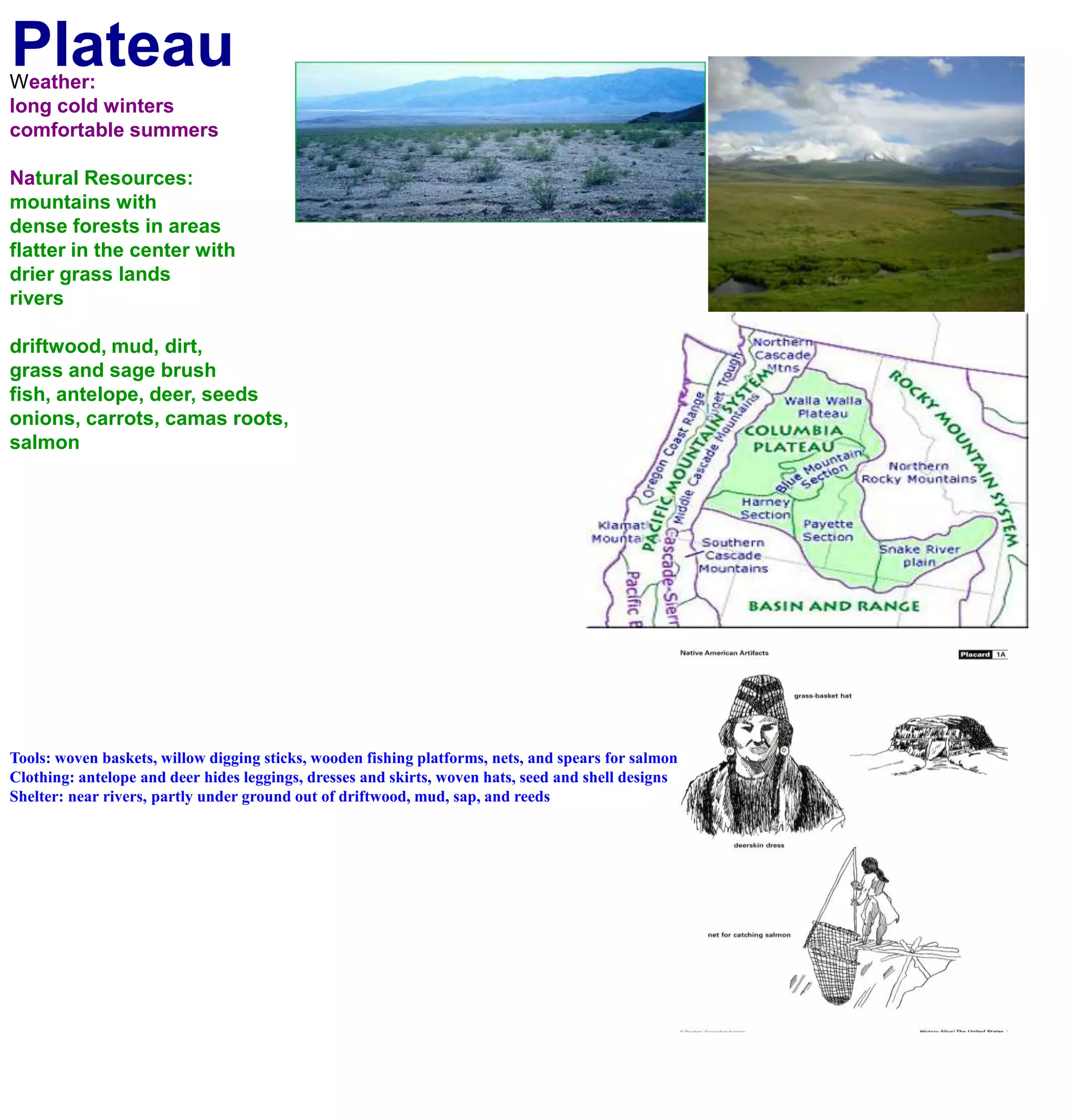 PlateauWeather:long cold winterscomfortable summers Natural Resources:mountains with dense forests in areasflatter in the center with drier grass landsriversdriftwood, mud, dirt,grass and sage brushfish, antelope, deer, seedsonions, carrots, camas roots, salmonTools: woven baskets, willow digging sticks, wooden fishing platforms, nets, and spears for salmonClothing: antelope and deer hides leggings, dresses and skirts, woven hats, seed and shell designsShelter: near rivers, partly under ground out of driftwood, mud, sap, and reeds