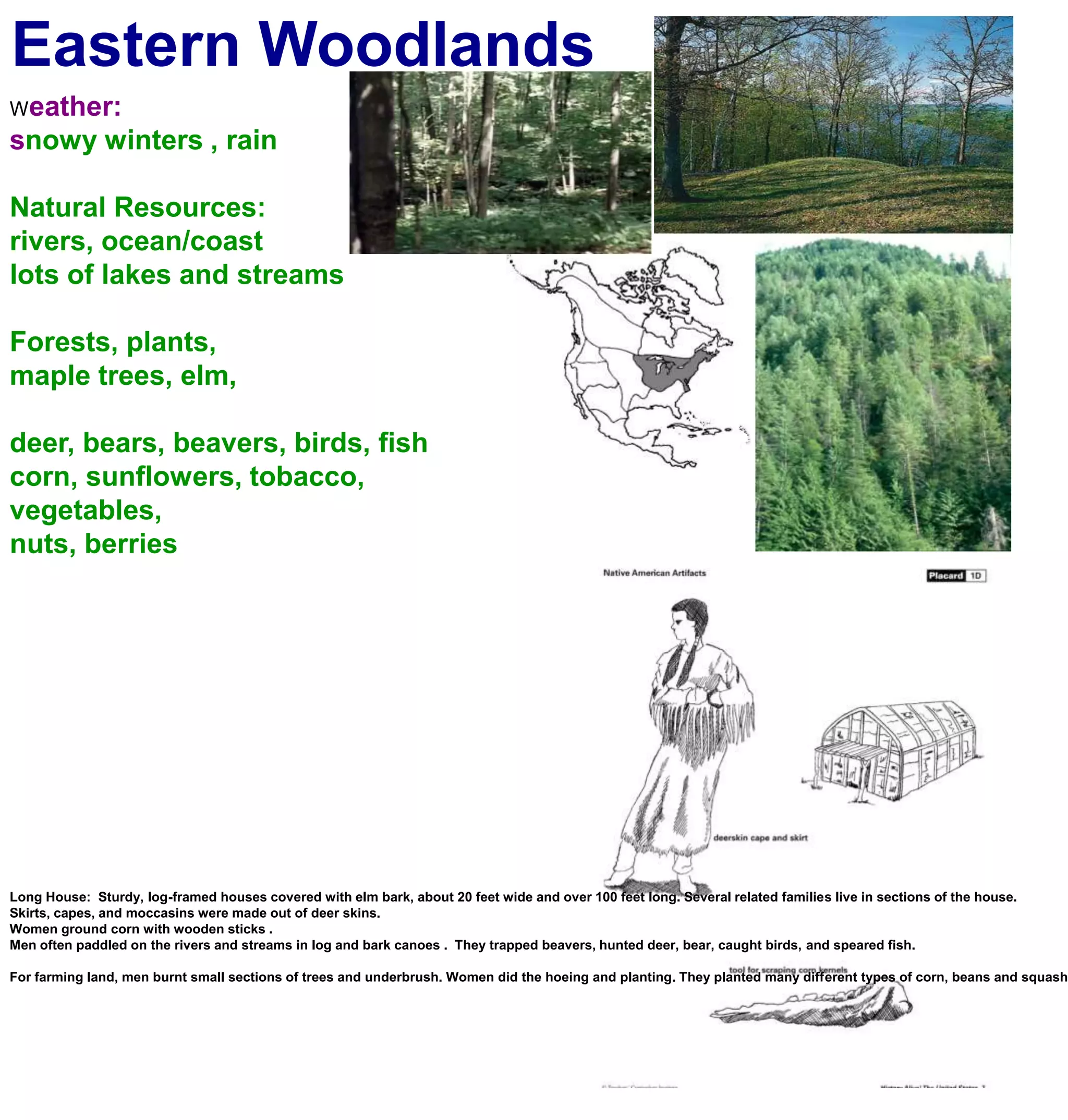 Eastern WoodlandsWeather:snowy winters , rainNatural Resources:rivers, ocean/coastlots of lakes and streamsForests, plants, maple trees, elm,deer, bears, beavers, birds, fishcorn, sunflowers, tobacco, vegetables,nuts, berriesLong House:  Sturdy, log-framed houses covered with elm bark, about 20 feet wide and over 100 feet long. Several related families live in sections of the house.Skirts, capes, and moccasins were made out of deer skins.Women ground corn with wooden sticks .Men often paddled on the rivers and streams in log and bark canoes .  They trapped beavers, hunted deer, bear, caught birds, and speared fish.For farming land, men burnt small sections of trees and underbrush. Women did the hoeing and planting. They planted many different types of corn, beans and squash. Made  maple syrup and wooden storage canisters.