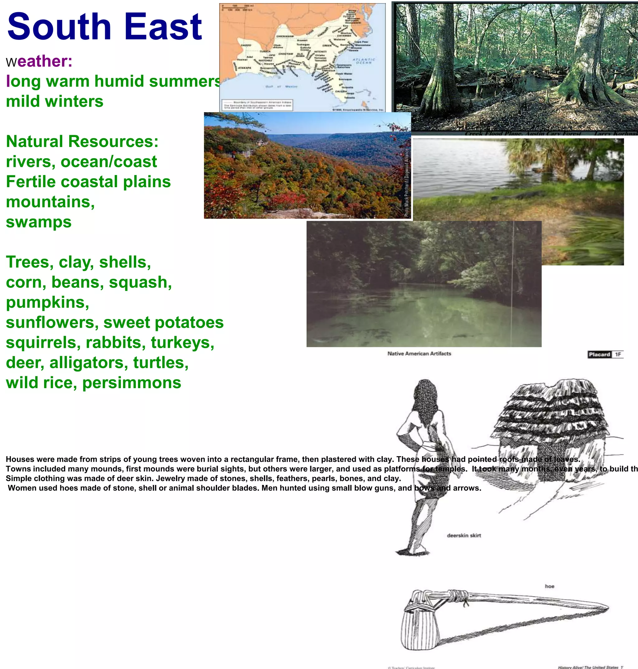 South EastWeather:long warm humid summersmild wintersNatural Resources:rivers, ocean/coastFertile coastal plainsmountains, swampsTrees, clay, shells, corn, beans, squash, pumpkins, sunflowers, sweet potatoessquirrels, rabbits, turkeys, deer, alligators, turtles,wild rice, persimmonsHouses were made from strips of young trees woven into a rectangular frame, then plastered with clay. These houses had pointed roofs made of leaves.Towns included many mounds, first mounds were burial sights, but others were larger, and used as platforms for temples.  It took many months, even years, to build these mounds, because they moved the dirt 1 basket full at a time.Simple clothing was made of deer skin. Jewelry made of stones, shells, feathers, pearls, bones, and clay. Women used hoes made of stone, shell or animal shoulder blades. Men hunted using small blow guns, and bows and arrows.