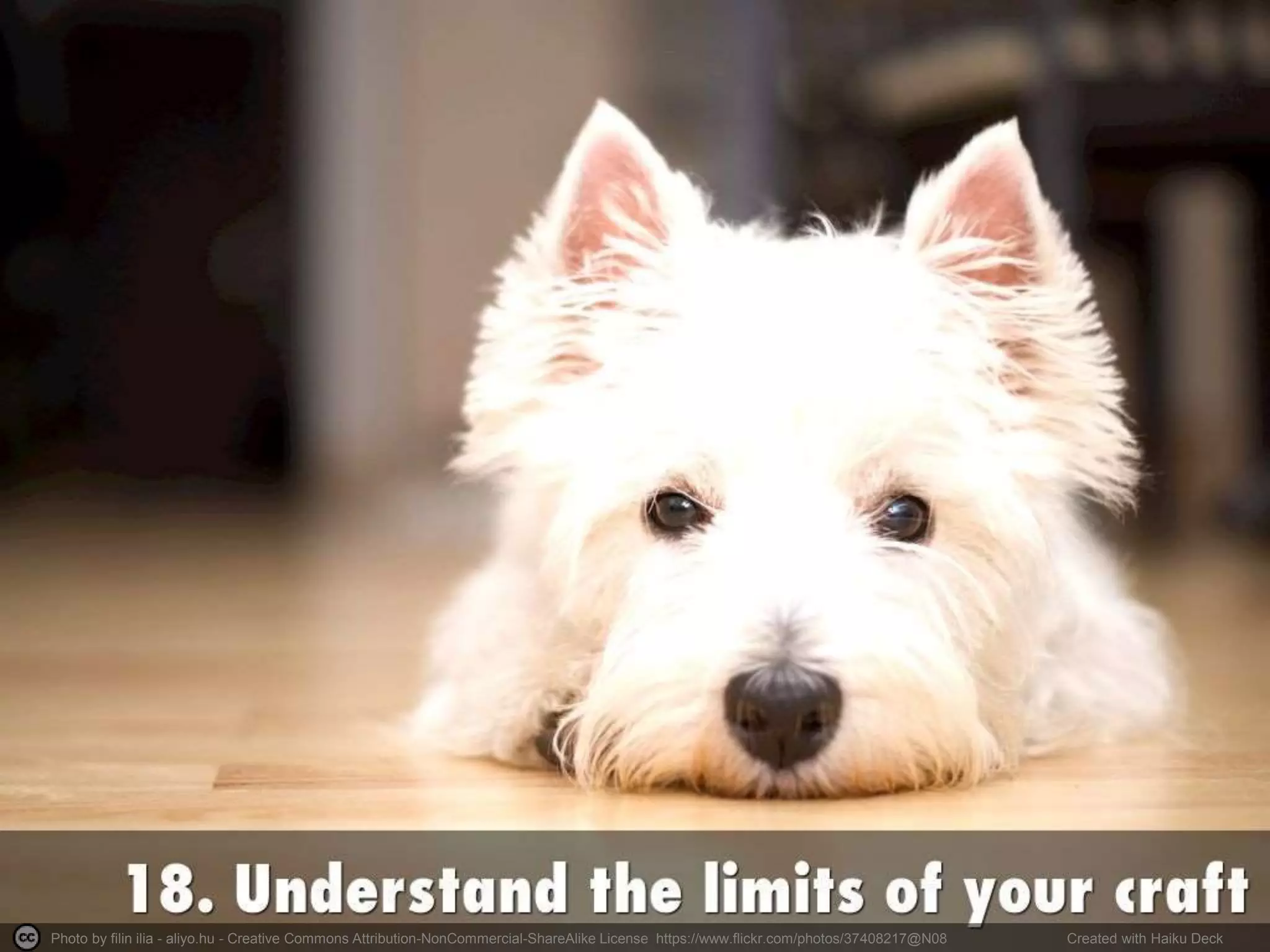 Photo by filin ilia - aliyo.hu - Creative Commons Attribution-NonCommercial-ShareAlike License https://www.flickr.com/photos/37408217@N08 Created with Haiku Deck
 