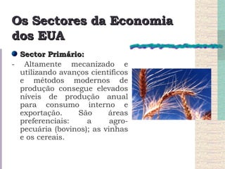 Os Sectores da Economia dos EUA Sector Primário:   - Altamente mecanizado e utilizando avanços científicos e métodos modernos de produção consegue elevados níveis de produção anual para consumo interno e exportação. São áreas preferenciais: a agro-pecuária (bovinos); as vinhas e os cereais. 
