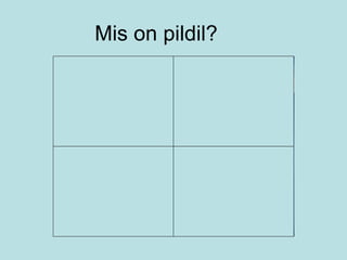 Mis on pildil? 