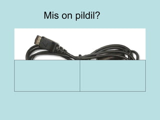 Mis on pildil? 
