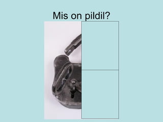 Mis on pildil? 