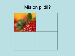 Mis on pildil? 