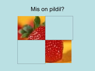 Mis on pildil? 