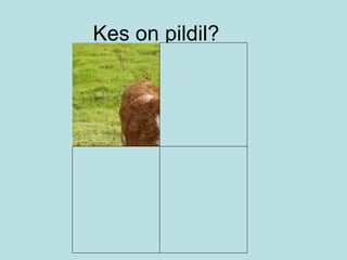 Kes on pildil? 