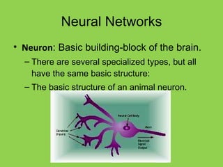 Neural Networks Neuron : Basic building-block of the brain. There are several specialized types, but all have the same basic structure: The basic structure of an animal neuron .  