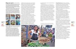 114
L ...o.f
CIUDADES MÁS
VERDES EN
AMÉRICA LATINA
Y EL CARIBE
CIUDADES MÁS
VERDES EN
AMÉRICA LATINA
Y EL CARIBE
48 49MANAGUAMANAGUA
El éxito del proyecto de los huertos en Managua
contribuyó a que el Gobierno de Nicaragua incluyera
la agricultura urbana y periurbana en su Plan
nacional de desarrollo humano (Pndh) para el
período 2012-2016 y pusiera en marcha el Programa
solidario Patio Saludable, con una inversión de
3 millones de Usd, para fomentar la producción de
alimentos en las ciudades.
El Pndh reafirma la primera prioridad
para el Gobierno: garantizar que las familias
nicaragüenses, especialmente las más pobres, tengan
acceso a una alimentación suficiente, nutritiva,
sana e inocua. Como parte de su estrategia de
soberanía y seguridad alimentaria, el Plan busca
aumentar la producción, la productividad y los
ingresos de familias, comunidades y cooperativas.
Explícitamente se incluyen entre los pequeños y
medianos productores de alimentos aquellos de las
áreas urbanas.
El Programa solidario Patio Saludable, puesto en
marcha por el recién creado Ministerio de Economía
Familiar, Comunitaria, Cooperativa y Asociativa,
promueve la producción de alimentos sanos en los
hogares urbanos y periurbanos, aplicando tecnologías
apropiadas y con la participación de familias, jóvenes
e instituciones públicas.
El Ministerio ha capacitado a 13 000 jóvenes que
brindan asistencia a los participantes en el programa
y, con el apoyo de la Fao, está estableciendo
13 viveros Ð en Managua y en cabeceras
departamentalesÐ para la producción de plántulas y
para usar como centros de capacitación.
Según informa el Ministerio, desde que se puso
en marcha el programa en el barrio Nueva Nicaragua
de Managua, en mayo de 2012, se ha ayudado a
más de 76 000 hogares a crear huertos con plantas
frutales, hortalizas, especias y plantas locales, tales
como la malanga, el chayote y el achiote. La meta
para el bienio 2013-2014 es crear otros 120 500
huertos en todas las cabeceras departamentales del
país, 60 000 de ellos solo en Managua.
Una vendedora en el Mercado de Mayoreo de Managua.
Muchos agricultores obtienen ingresos vendiendo hortalizas
a los vecinos o en los mercados locales.
FAo/SAULPALMA
una variedad de platos a base de productos frescos y
cultivados en casa.
Los huertos domésticos no solo mejoraron la
nutrición de aproximadamente 2 500 miembros de
unidades familiares, sino que también les permitió
ahorrar el dinero que hubieran gastado en la compra
de alimentos. Aunque los excedentes producidos
fueron relativamente modestos, el 17 % de los
hogares de Ciudad Sandino y el 10 % de los de Los
Laureles Sur lograron generar ingresos con la venta
de hortalizas a los vecinos o en los mercados locales.
El proyecto también ayudó al Ministerio de
Educación a crear microhuertos en recipientes en
10 escuelas. Después de la capacitación, alrededor
de 2 000 estudiantes comenzaron a cultivar repollo,
lechuga, tomate y chiltoma en llantas, botellas y
hasta en carcasas de televisores. En el marco del
proyecto se imprimieron 1 500 ejemplares de un
manual para la creación de huertos escolares que se
utilizó en cursos realizados en otras 17 escuelas de
Managua.
y aplicaban abono orgánico hecho a base de hierba y
paja para conservar la humedad del suelo. También
enriquecían el suelo de sus parcelas y microhuertos
con compost, estiércol y fertilizante orgánico
creados con la fermentación anaeróbica de residuos
domésticos (bioles) y sembraban semillas certificadas
de variedades recomendadas a nivel local. Para el
control de plagas y enfermedades, aplicaban cal y
cenizas a la tierra antes de la siembra y a las hojas
durante el crecimiento del cultivo. Para combatir
la mosca blanca, plantaban setos alrededor de los
huertos y ponían trampas adhesivas que utilizan
aceite de cocina como pegamento.
La evaluación también indicó que el consumo
promedio de hortalizas en las familias que cultivaban
huertos había mejorado en un 60 %, alcanzando
casi los 100 g por persona y día. La mejora más
espectacular se dio en el barrio Israel Galeano de
Los Laureles Sur, donde el consumo aumentó en
más del 160 %. Para fomentar la diversificación de la
producción y un consumo mayor de frutas y verduras
por parte de los agricultores domésticos Ð y ayudar
a que sus vecinos hagan lo mismoÐ en el marco
del proyecto de Managua se organizaron ferias
gastronómicas donde los visitantes podían degustar
Riego por goteo así de sencillo
Para optimizar el uso del agua de lluvia captada, el proyecto
incluía un sistema de riego por goteo de bajo costo. La
construcción del sistema requiere material muy simple:
botellas plásticas de refrescos y sus tapones, un clavo de
zinc de 8 cm, martillo, cuchilla afilada y goteros de plástico
usados en sistemas de microrriego.
El clavo se usa para abrir un hueco en la tapa, donde se
instala el gotero y se enrosca a la botella. Luego se hace
una incisión en la parte inferior de la botella para poder
llenarla con agua usando el embudo (no se recomienda
retirar la base de las botellas ya que se bloquean fácilmente
con polvo y residuos). Las botellas se pueden instalar en
los huertos usando estacas de madera de 30 cm de altura,
o fijadas a canastas colgantes y otros recipientes usados en
los microhuertos.
El caudal de salida se regula según la posición de la botella,
vertical o en ángulo de 45º, o colocando una esponja en el
cuello de la botella.
El tamaño de las botellas de riego debe guardar
correspondencia con el desarrollo vegetativo de la
planta. Una botella de 1,5 litros de agua es suficiente
para satisfacer las necesidades cotidianas de una planta
de tomate o de chiltoma durante 20 días después del
trasplante. A continuación se remplaza por una botella
de 2 litros, y al cabo de 35 días más, por una botella de
3 litros. Una vez que se han asegurado la floración y la
fructificación, se empieza a disminuir la pauta de riego.
Un último consejo del equipo de trabajo del proyecto de
Managua: hay que lavar las botellas bien antes de utilizarlas
en el huerto porque los residuos de azúcar atraen a las
hormigas, lo que puede causar problemas en los cultivos.
EDUArDoMUrILLo
 