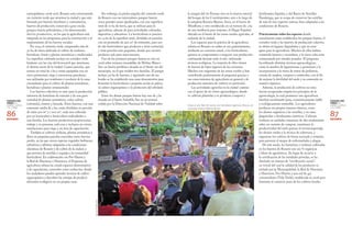 sfkm.
MI;
1P.
CIUDADES MÁS
VERDES EN
AMÉRICA LATINA
Y EL CARIBE
CIUDADES MÁS
VERDES EN
AMÉRICA LATINA
Y EL CARIBE
86 87ROSARIOROSARIO
fertilizantes líquidos, y del Banco de Semillas
Ñanderoga, que se ocupa de conservar las semillas
de más de 600 especies nativas, bien adaptadas a las
condiciones de Rosario.
Prácticamente todos los espacios donde
actualmente están establecidos los parques huerta, el
corredor verde y los huertos de producción colectiva
se sitúan en lugares degradados y que no eran
aptos para la agricultura. Muchos de ellos habían
contenido basuras y escombros, y la tierra solía estar
contaminada por metales pesados. El programa
ha utilizado distintas técnicas agroecológicas,
como la siembra de leguminosas y gramíneas y la
incorporación a la tierra de restos de jardinería,
virutas de madera, compost y estiércoles, con el fin
de mejorar la fertilidad del suelo y su contenido en
materia orgánica.
Además, la producción de cultivos en estas
tierras recuperadas respeta los principios de la
agroecología, la cual promueve una agricultura
familiar socialmente justa, económicamente viable
y ecológicamente sostenible. Los agricultores
producen sus propios insumos básicos, como
los abonos orgánicos y las semillas, y no usan
plaguicidas o fertilizantes sintéticos. Cultivan
verduras en unidades intensivas de alto rendimiento
sobre un sustrato de compost, mantienen la
productividad del suelo gracias al vermicompostaje,
los abonos verdes y la técnica de cobertura, y
organizan los cultivos de forma asociada y rotatoria
para prevenir el ataque de enfermedades y plagas.
De este modo, las hortalizas y verduras cultivadas
en los huertos de Rosario son 100 % orgánicas
y libres de agrotóxicos. En lugar de recurrir a
la certificación de las entidades privadas, se ha
diseñado un sistema de “certificación social”,
en virtud del cual la calidad de los productos es
avalada por la Municipalidad, la Red de Huerteras
y Huerteros, Pro-Huerta y una red de 450
consumidores (Vida Verde), establecida en 2008 para
fomentar el comercio justo de los cultivos locales.
la margen del río Paraná; otro en la reserva natural
del bosque de los Constituyentes; otro a lo largo de
la autopista Rosario-Buenos Aires, en el barrio de
Miraflores; y otro establecido en un terreno de 3 ha
de una residencia para mayores, el Hogar Español,
ubicada en el límite de las zonas rurales agrícolas, al
sudoeste de la ciudad.
Los espacios para la práctica de la agricultura
urbana en Rosario se ceden en uso gratuitamente,
mediante un convenio anual, a los horticultores,
quienes se comprometen a asegurar una producción
continuada durante todo el año, utilizando
técnicas ecológicas. La mayoría de ellos vienen
de barrios de bajos ingresos de las cercanías.
Muchos son migrantes de las zonas rurales y han
contribuido positivamente al programa gracias a
sus conocimientos de agricultura en general y de
producción intensiva de cultivos en particular.
Las actividades agrícolas en la ciudad cuentan
con el apoyo de un vivero agroecológico, donde
se cultivan plántulas y se producen compost y
Clase al aire libre de cocina con hortalizas orgánicas frescas, en
el parque huerta Molino blanco.
Sin embargo, la piedra angular del cinturón verde
de Rosario son sus innovadores parques huerta:
cinco grandes zonas ajardinadas, con una superficie
total de 72 ha de tierra, que se utilizan para la
agricultura, además de para actividades culturales,
deportivas y educativas. La horticultura se practica
en 24 ha de la superficie total, divididas en parcelas
con un promedio de 900 m2 de extensión, para uso
de 280 horticultores que producen a nivel comercial,
y otras parcelas más pequeñas, donde 400 vecinos
producen solo para autoconsumo.
Uno de los primeros parques huerta se creó en
2008 sobre terrenos inundables de Molino Blanco
Sur, un barrio periférico situado en el límite sur del
municipio, en el que residen 800 familias. El parque
incluye 5,6 ha de huertos, y siguiendo uno de sus
bordes se ha establecido una zona demostrativa para
fomentar la horticultura a pequeña escala en patios,
el cultivo organopónico y la protección del arbolado
público.
Entre los demás parques huerta hay uno de 3 ha
situado en el barrio Saladillo Sur en un terreno
cedido por la Dirección Nacional de Vialidad sobre
metropolitano 2008-2018, Rosario está construyendo
un cinturón verde que atraviesa la ciudad y que está
formado por huertos familiares y comunitarios,
huertos de producción comercial a gran escala,
parques huerta polivalentes, y los denominados
barrios productivos, en los que la agricultura está
integrada en los programas para la construcción y al
mejoramiento de los barrios sociales.
En 2014, el cinturón verde comprendía más de
30 ha de tierra dedicada al cultivo de verduras,
hortalizas, frutas y plantas aromáticas y medicinales.
La superficie cultivada incluye un corredor verde
lindante con las vías del ferrocarril que atraviesan
el distrito norte de la ciudad. Cuatro parcelas, que
suman un total de 2 ha y están equipadas con un
cerco perimetral, riego y estructuras parraleras,
son utilizadas por residentes y escolares de la zona
circundante para el cultivo de plantas aromáticas,
hortalizas y plantas ornamentales
Los huertos colectivos se usan para la producción
intensiva de hortalizas de estación y de una gran
variedad de plantas aromáticas, como cedrón
(citronela), romero y lavanda. Estos huertos, con una
extensión media de 2 ha, están divididos en parcelas
de entre 500 m2 y 1 000 m2, cada una cultivada
por un horticultor u horticultora individuales o
una familia. Los huertos productivos proporcionan
trabajo a 20 personas cada uno e incluyen un vivero,
instalaciones para riego y un área de capacitación.
También se cultivan verduras, plantas aromáticas y
flores en pequeñas parcelas conocidas como huertas
jardín, en las que crecen especies vegetales herbáceas,
arbustivas y arbóreas adaptadas a las condiciones
climáticas de Rosario y de cultivo de la ciudad, y
que proveen de semillas y esquejes a la comunidad
horticultora. En colaboración con Pro-Huerta y
la Red de Huerteras y Huerteros, el Programa de
agricultura urbana ha creado espacios demostrativos
y de capacitación, conocidos como ecohuertas, donde
los ciudadanos pueden aprender técnicas de cultivo
organopónico y descubrir las ventajas de producir
alimentos ecológicos en sus propias casas.
SILvIoMorICoNI
 