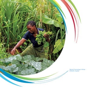 Woman harvesting in Kenya 
©FAO/D. Hayduk 
 